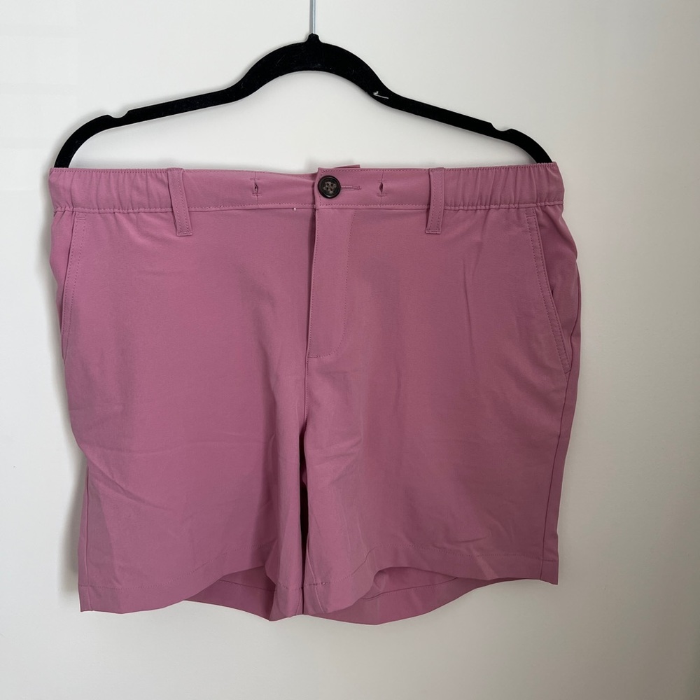 Chubbies Hybrid Shorts